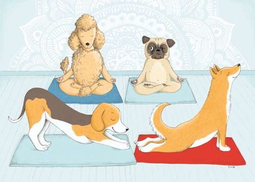 Alaspäin katsova koira